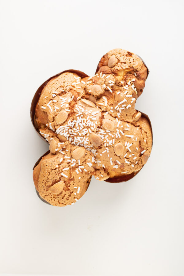 Colomba bianca senza canditi